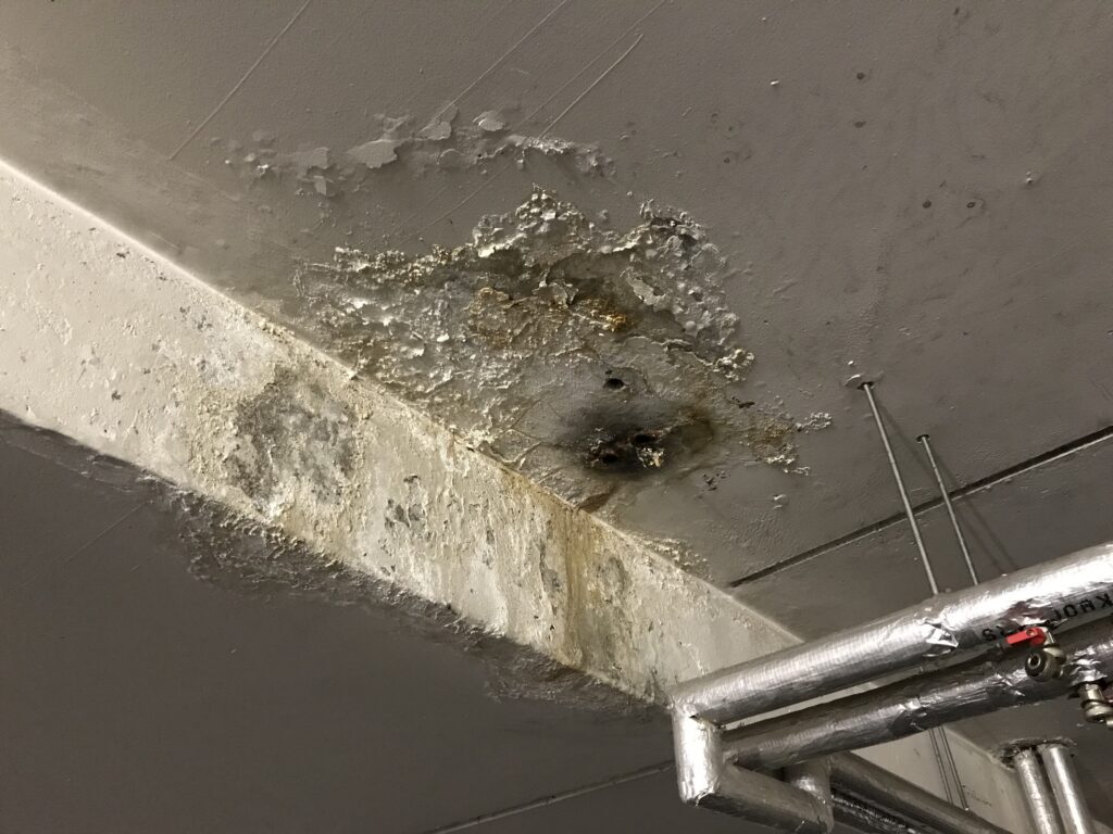Immermannstr. 65, Düsseldorf – Tiefgaragensanierung